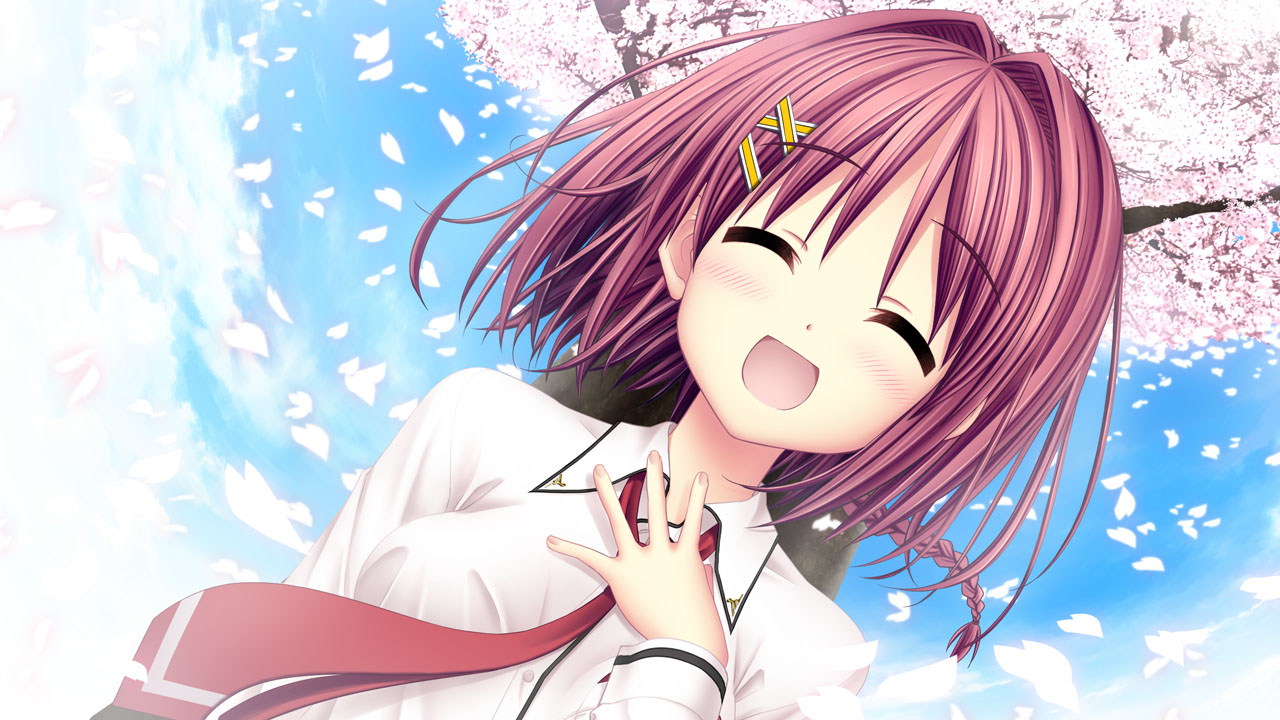 さくら、咲きました。五周目 さくら、咲きました。五周目