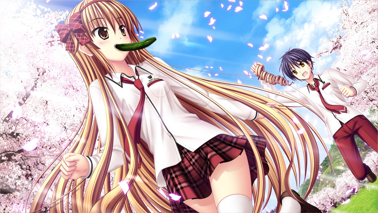 さくら、咲きました。 六周目 さくら、咲きました。 六周目