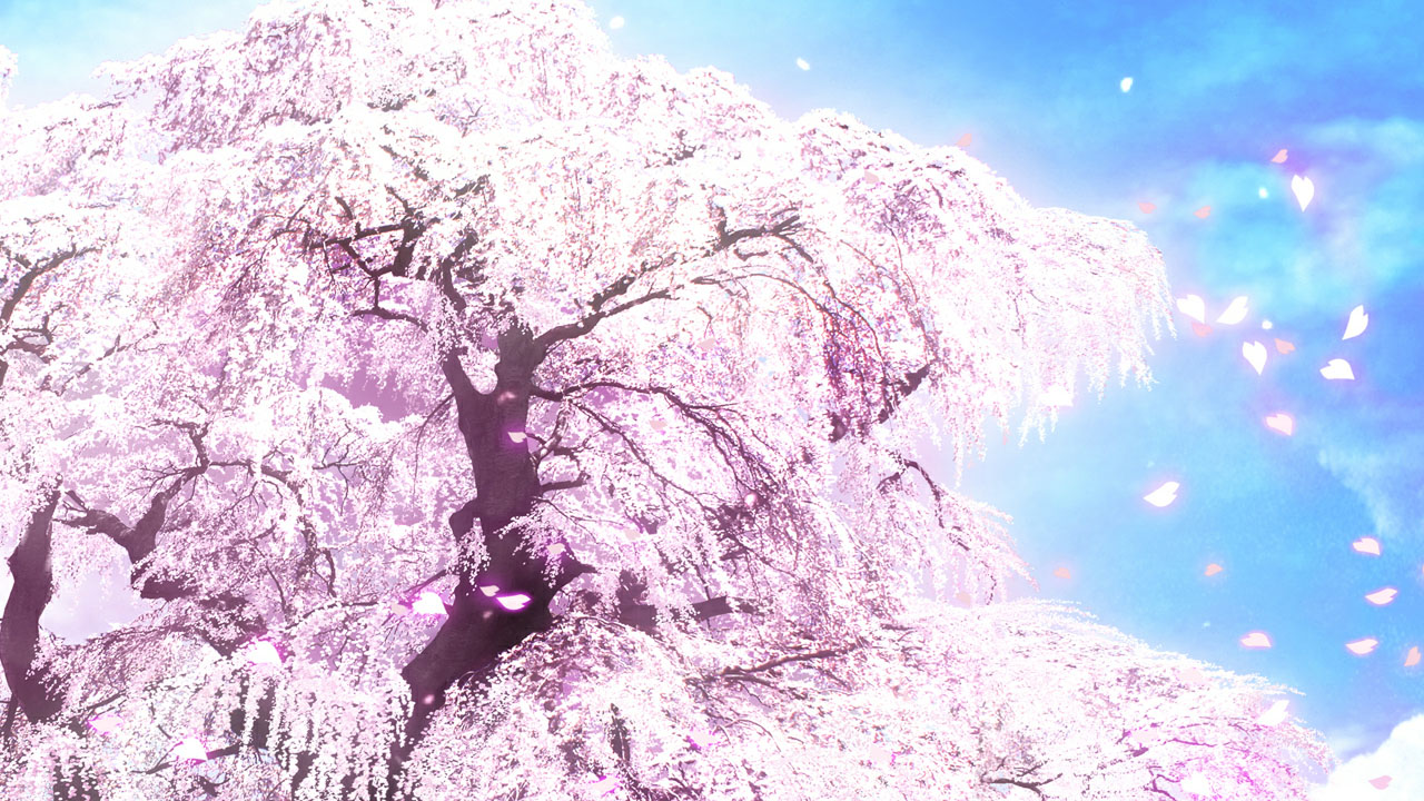 さくら、咲きました。 さくら、咲きました。